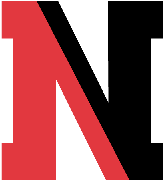 Northeastern Huskies 2004-2006 Alternate Logo diy DTF decal sticker